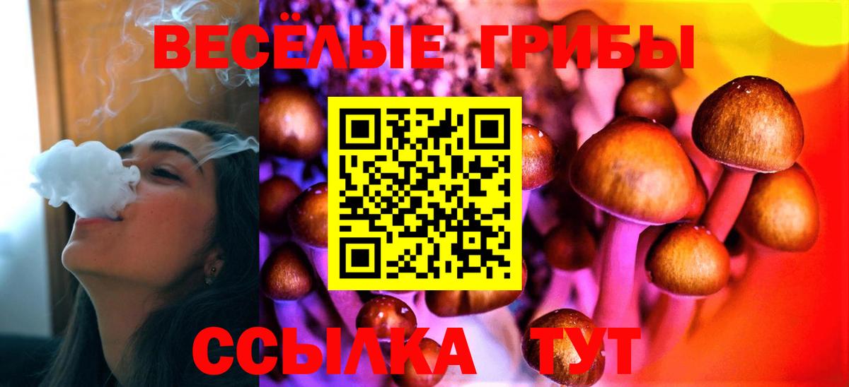 Чехов  Псилоцибиновые грибы GOLDEN TEACHER  Вход с VPN 